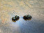 Mauser 98 Locking Screws - Commercial